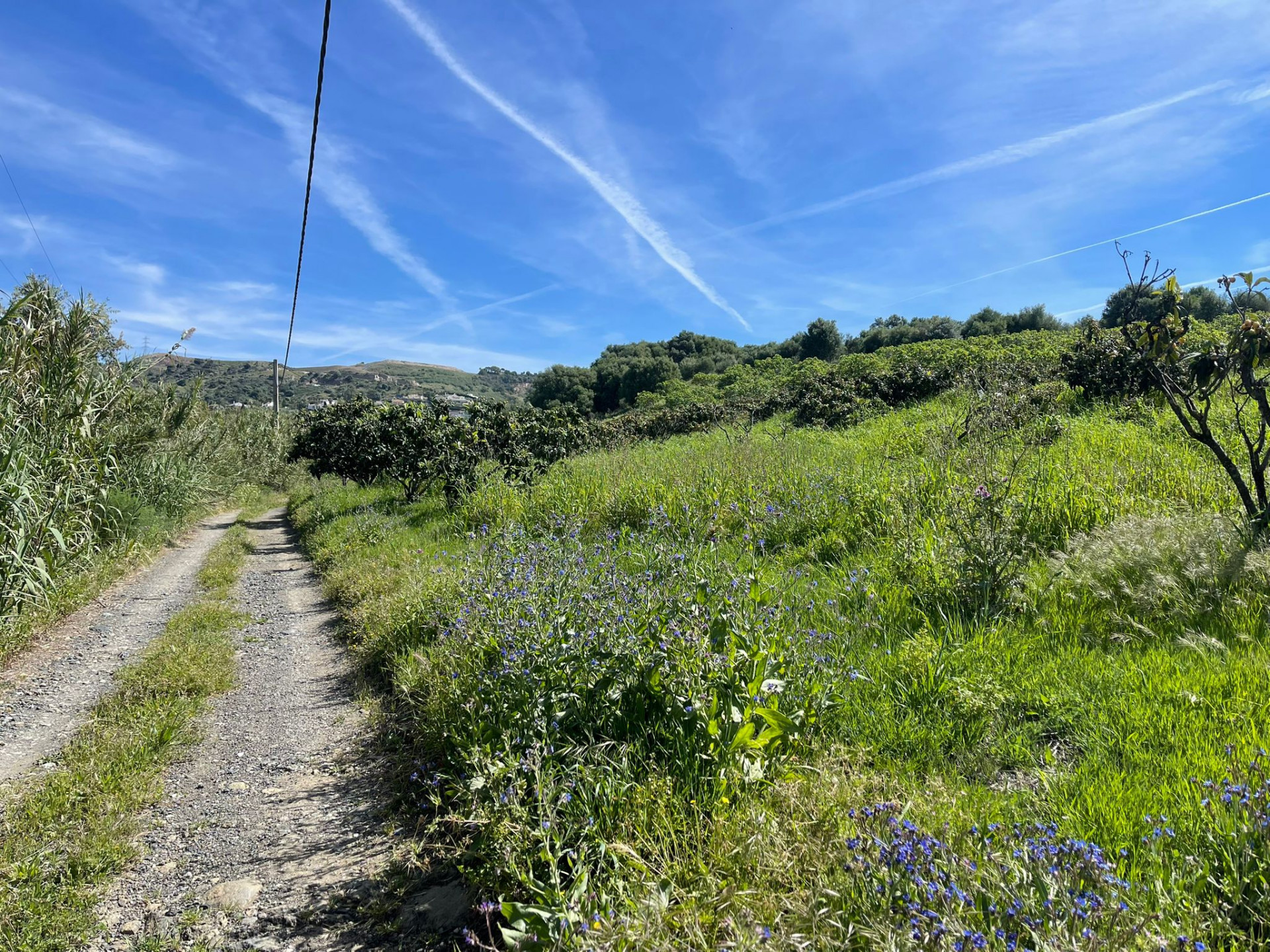 Plot in Estepona West