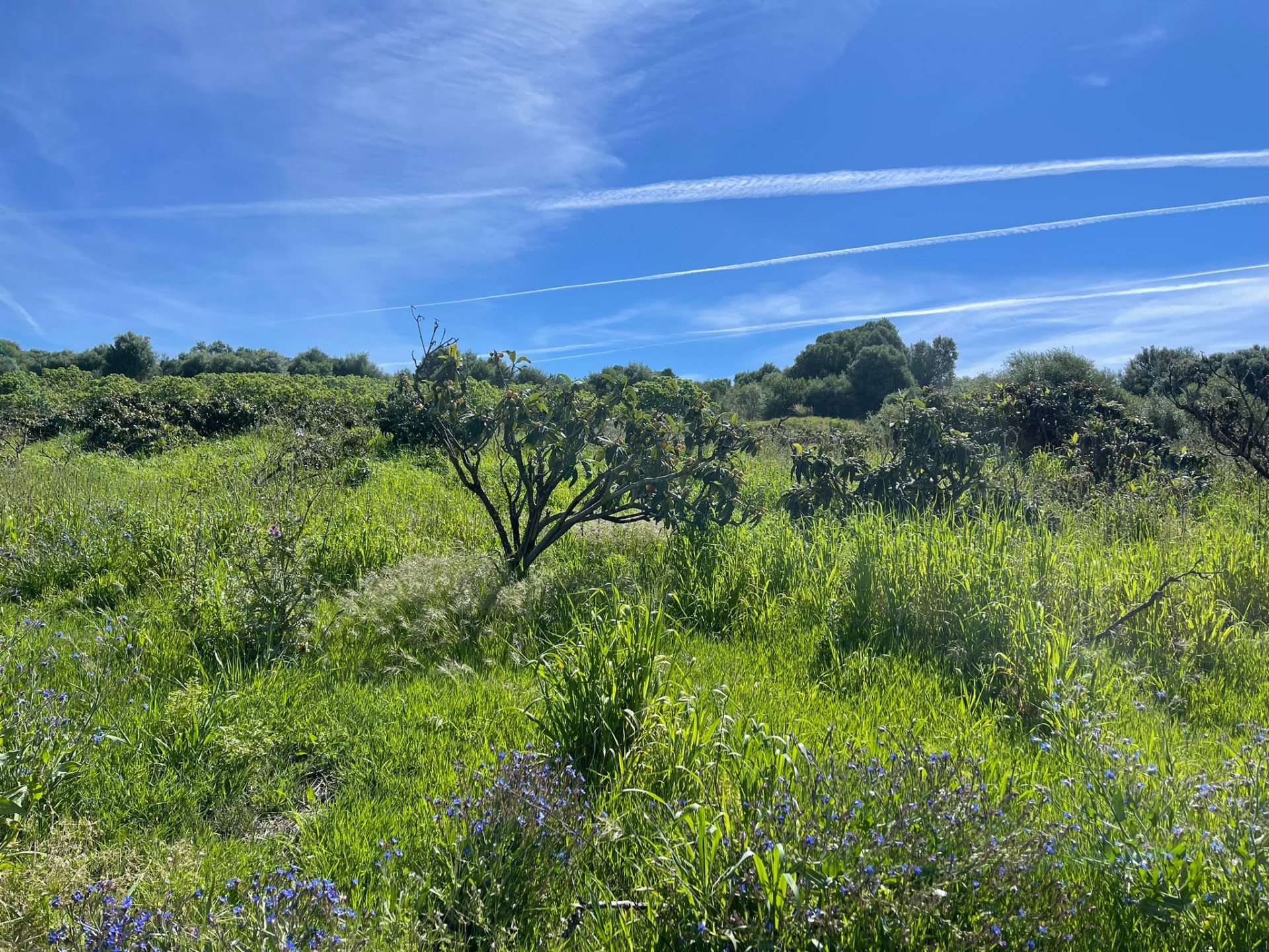 Plot in Estepona West