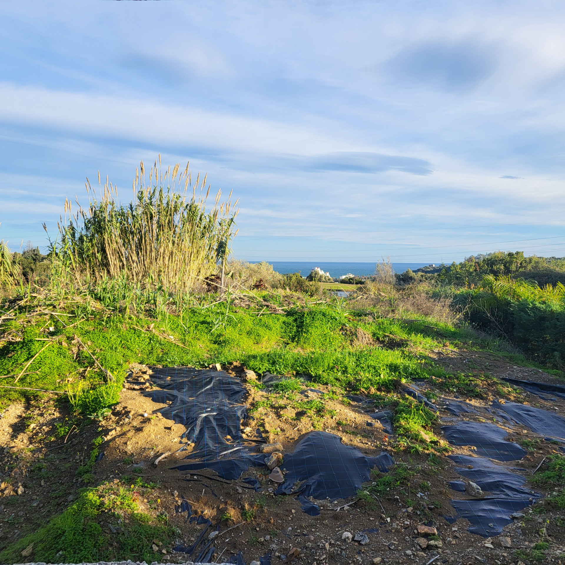 Plot in Estepona West