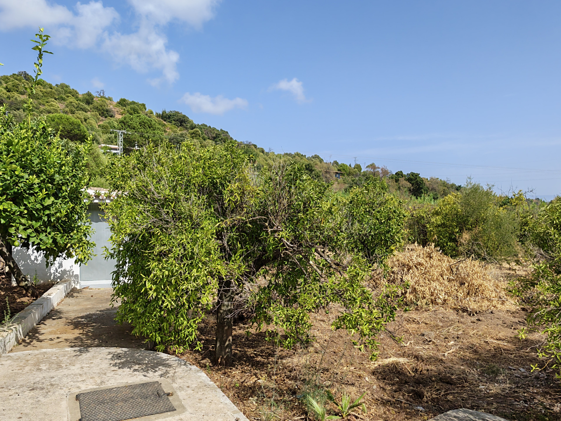 Villa in Estepona East