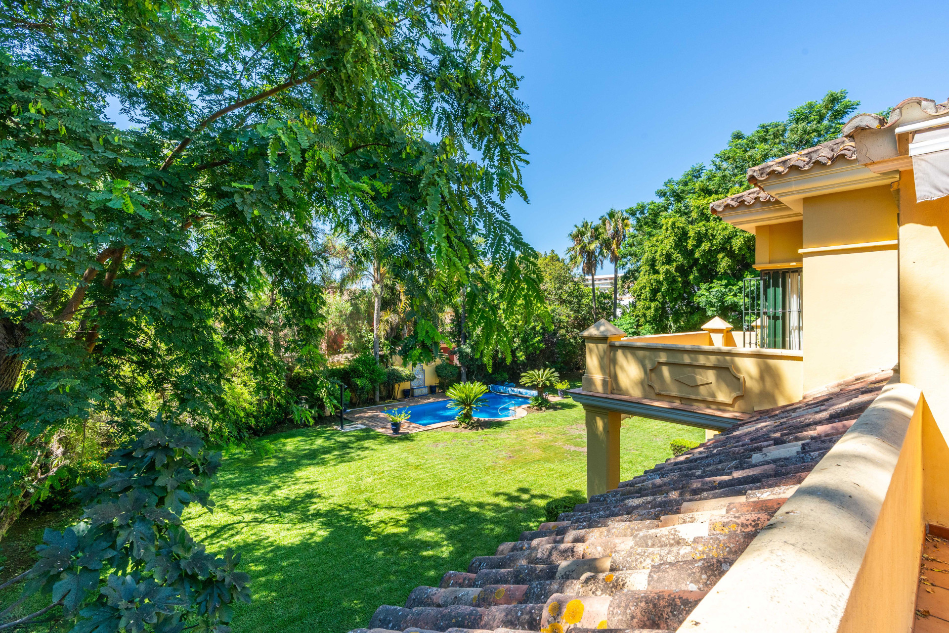 Villa in Guadalmina Baja