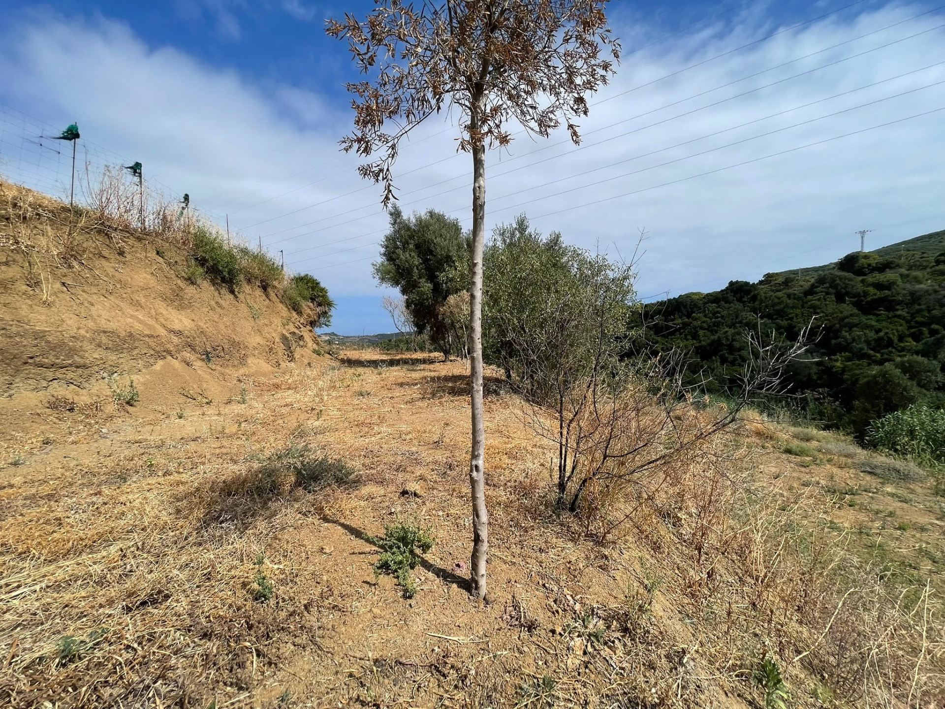 Plot in Altos de Estepona