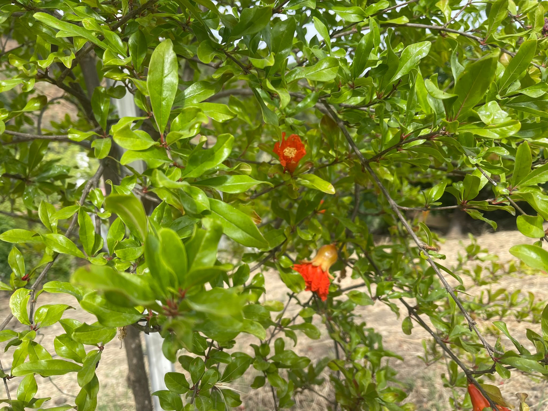 Plot in Altos de Estepona