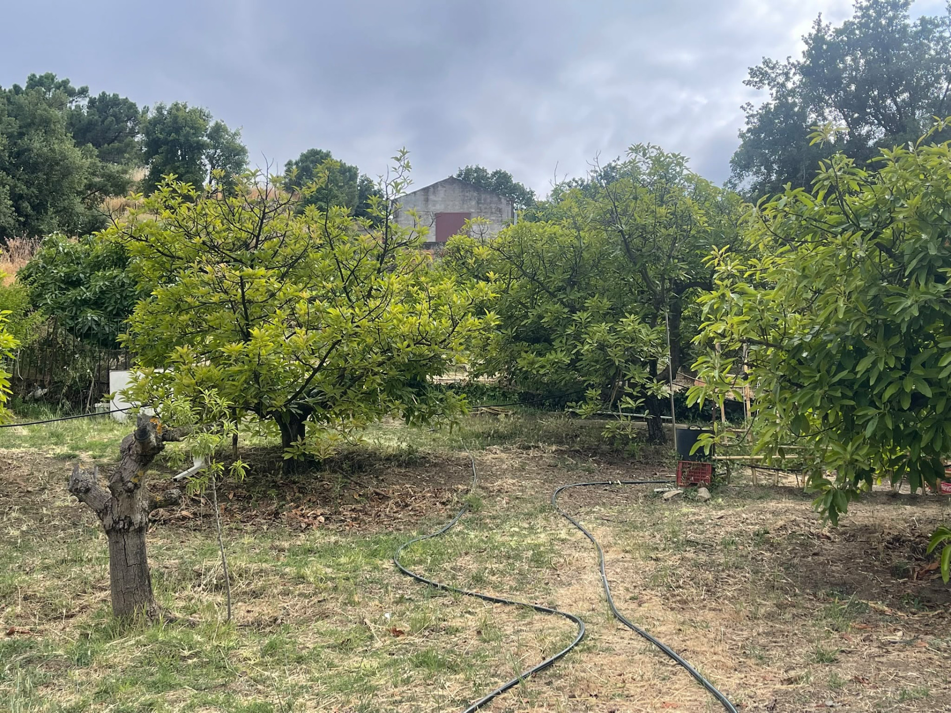 Plot in Altos de Estepona