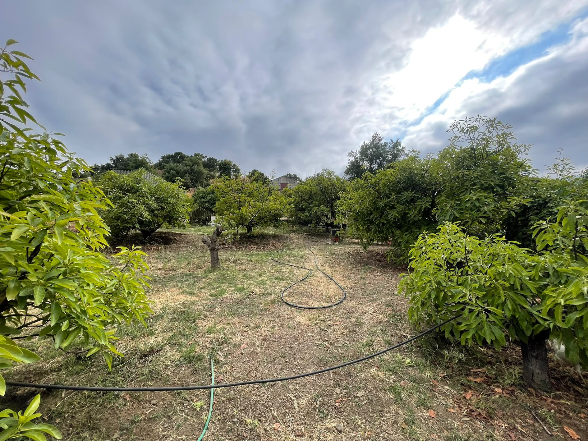 Plot in Altos de Estepona