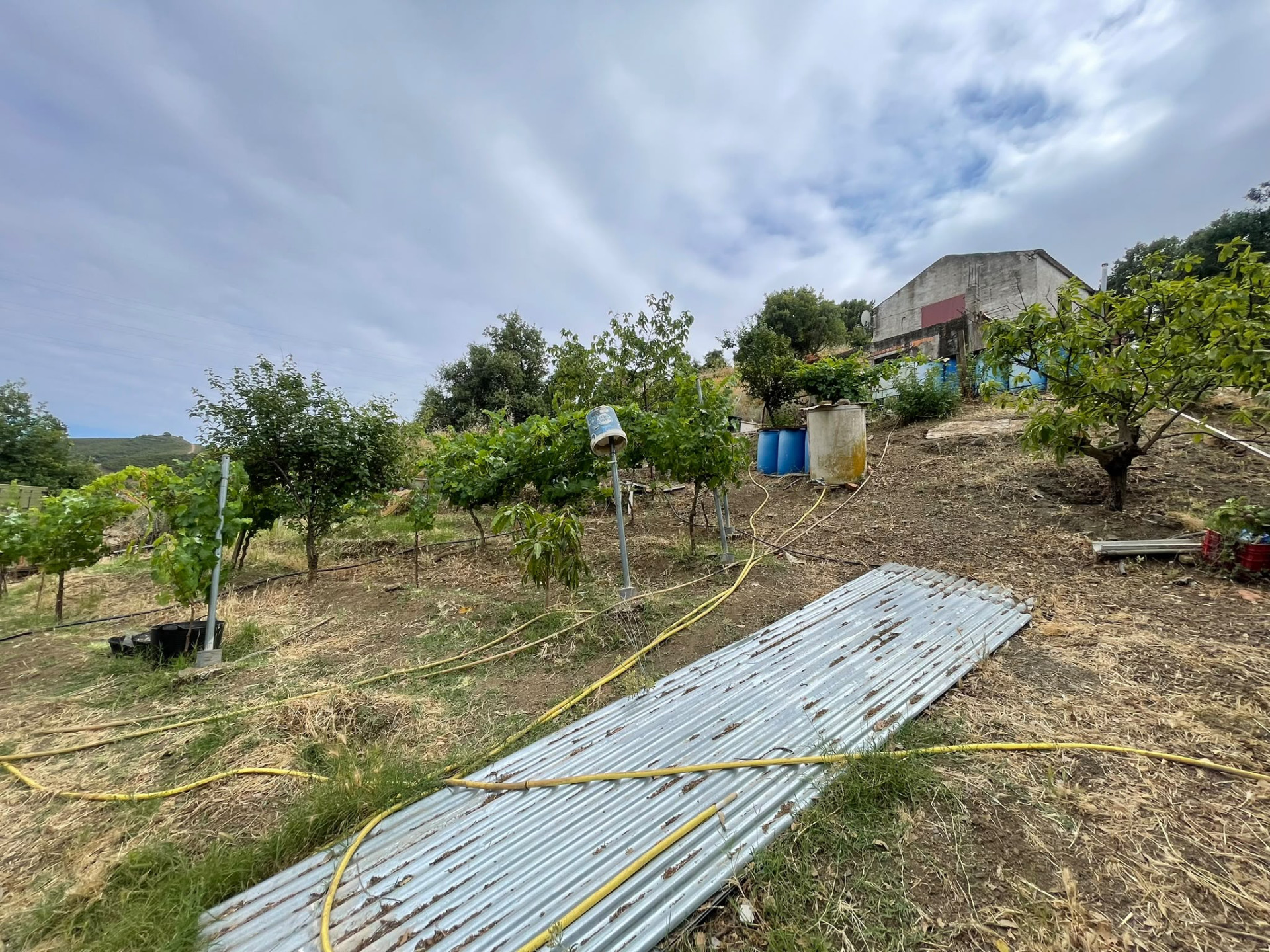 Plot in Altos de Estepona