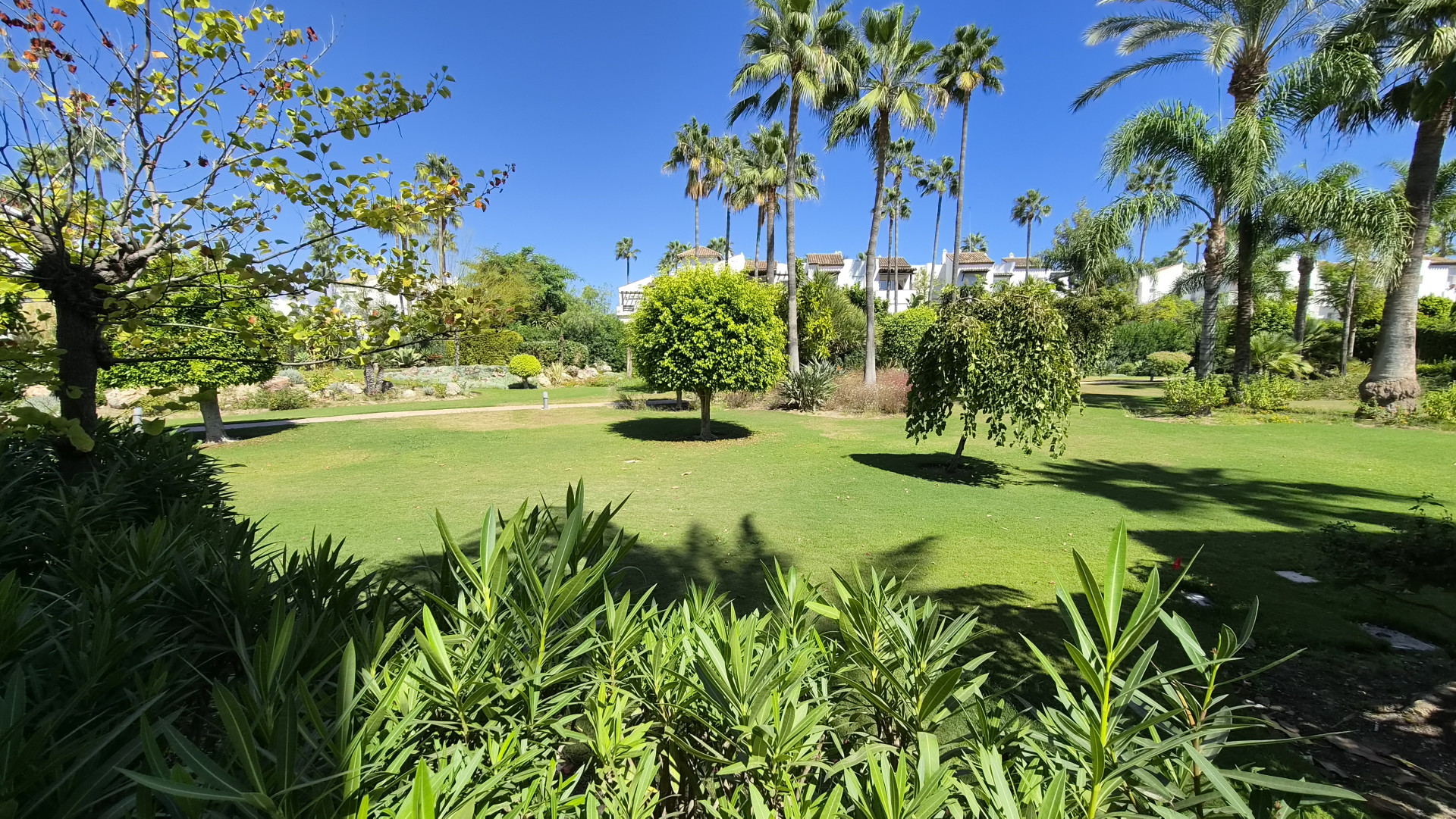 Ground Floor Apartment in Estepona East