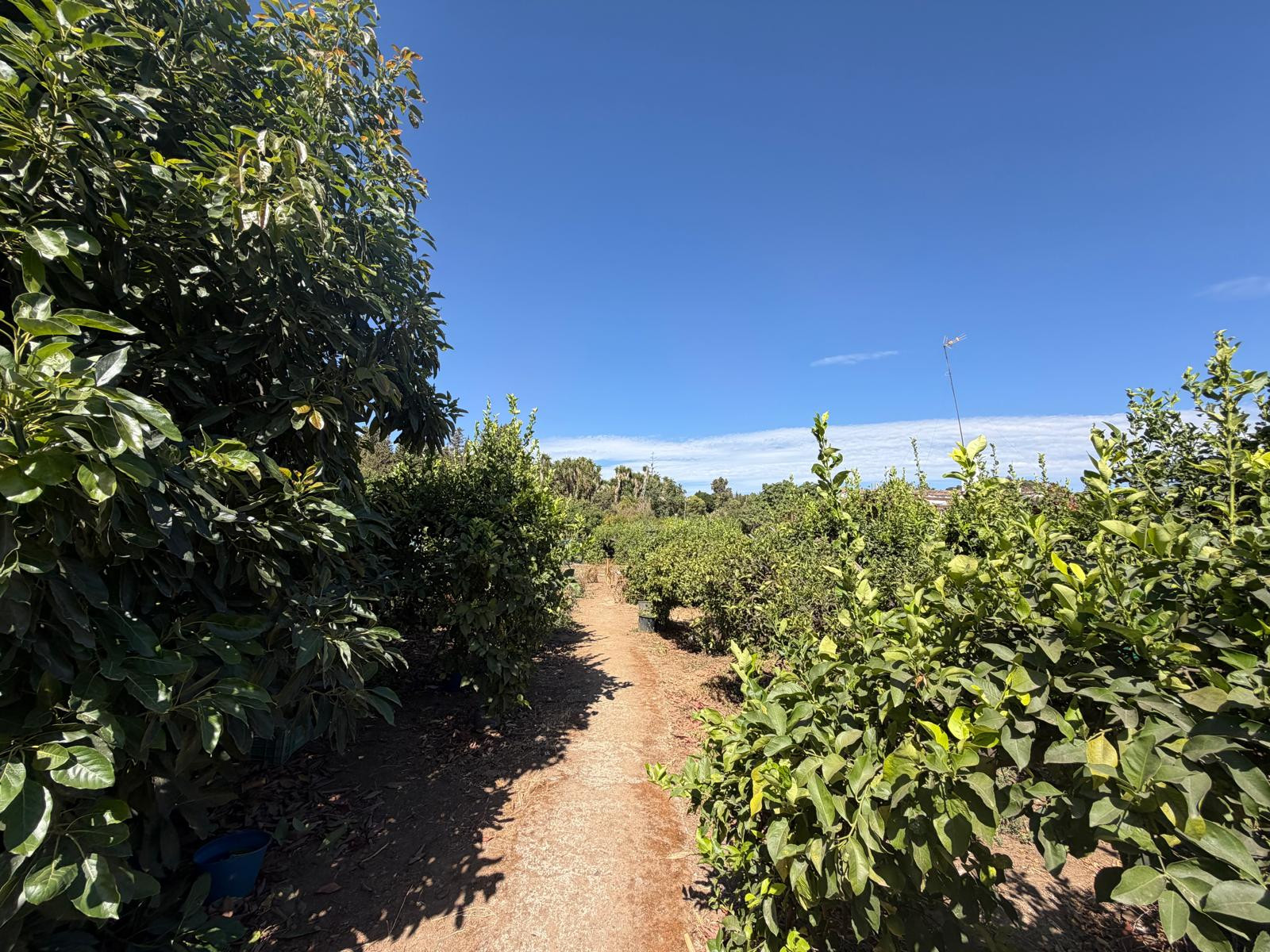 Plot in Estepona East