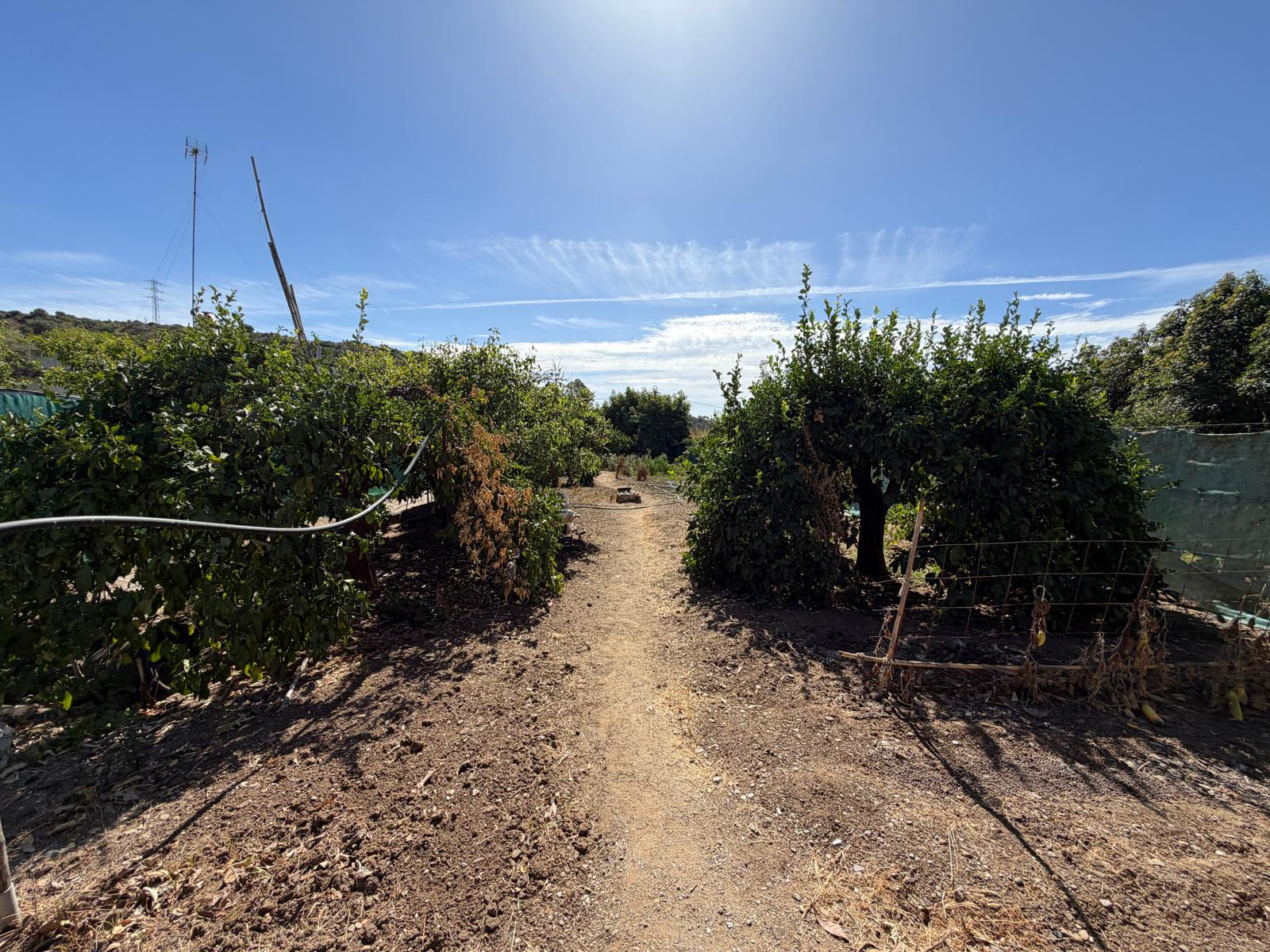 Plot in Estepona East