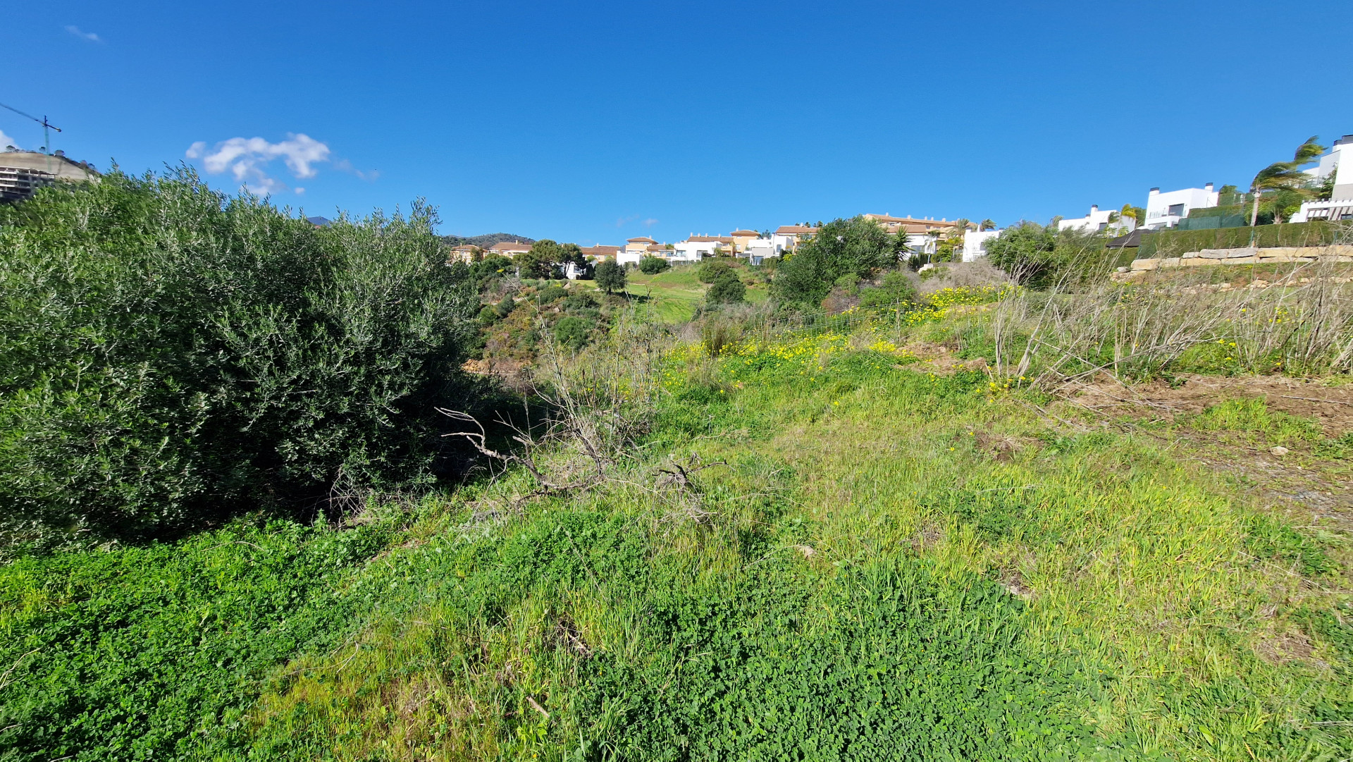 Plot in Estepona East