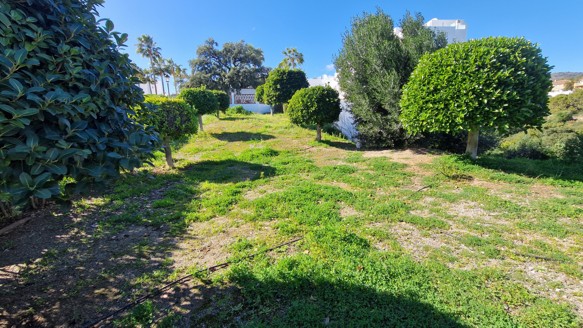 Plot in Estepona East