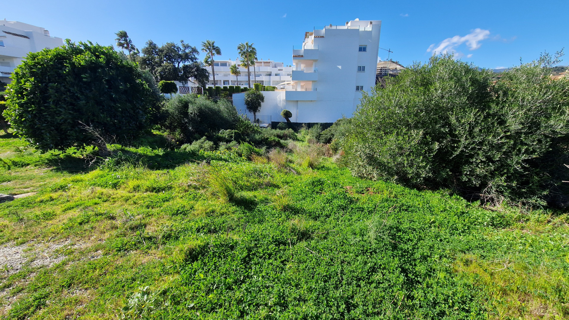 Plot in Estepona East
