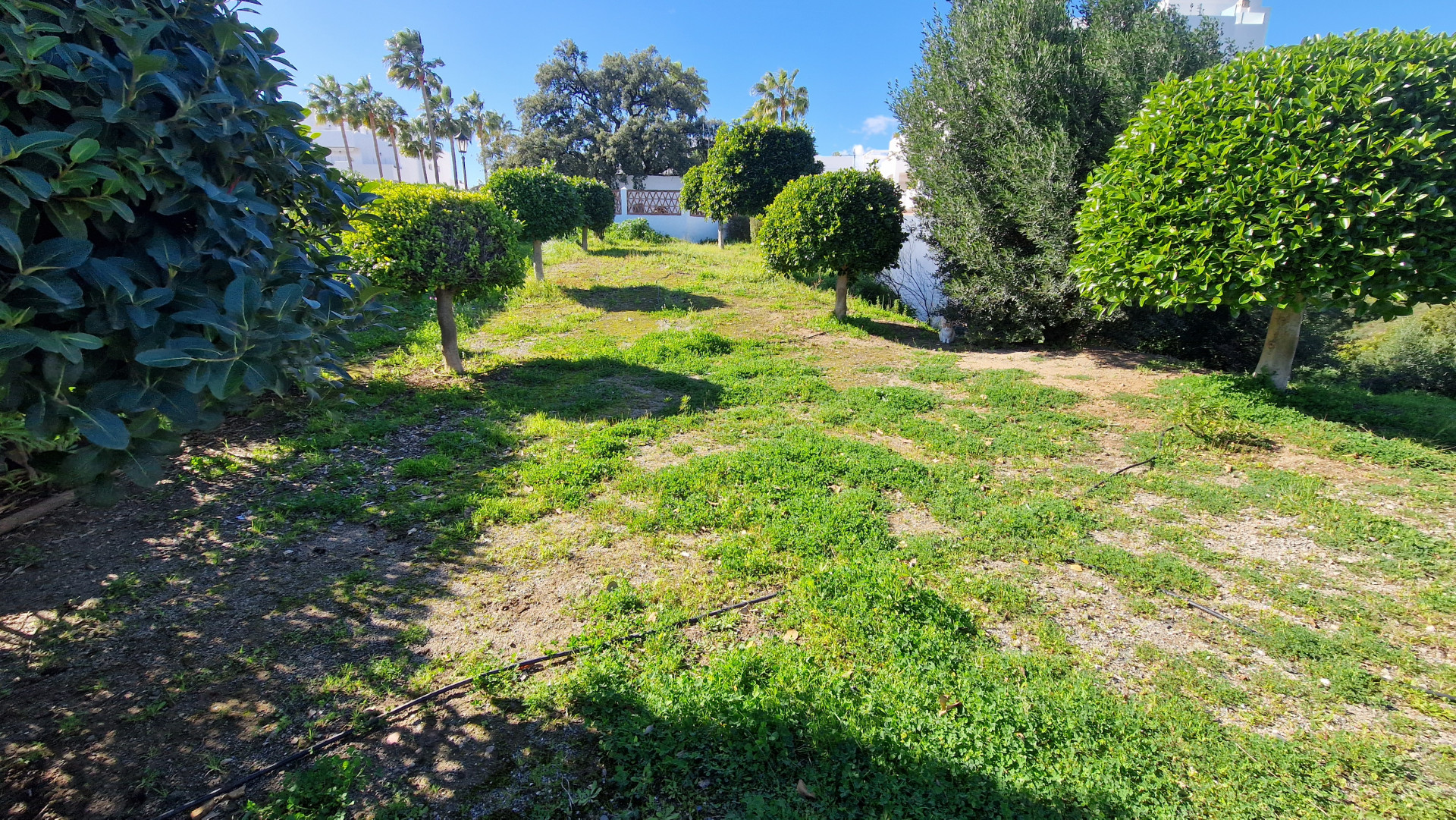 Plot in Estepona East
