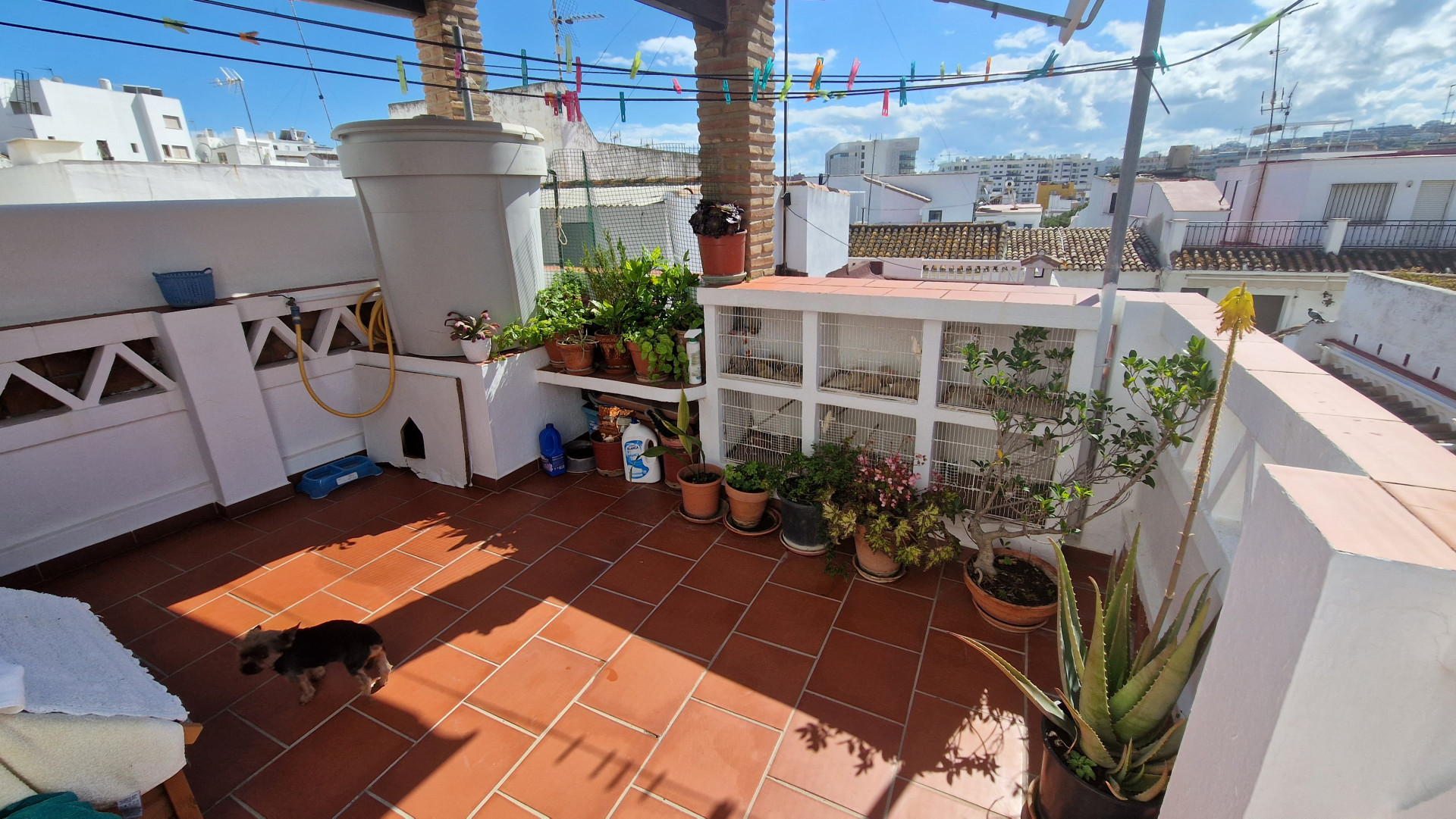 House in Estepona Town