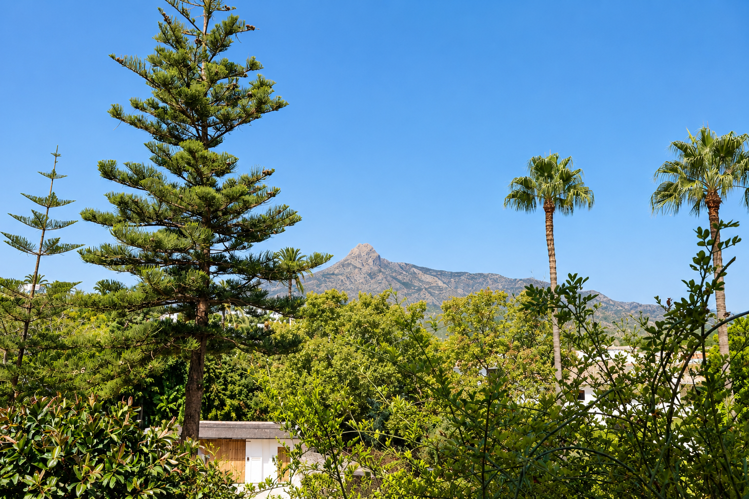 3 Bedroom Apartment in Lomas de Marbella Club