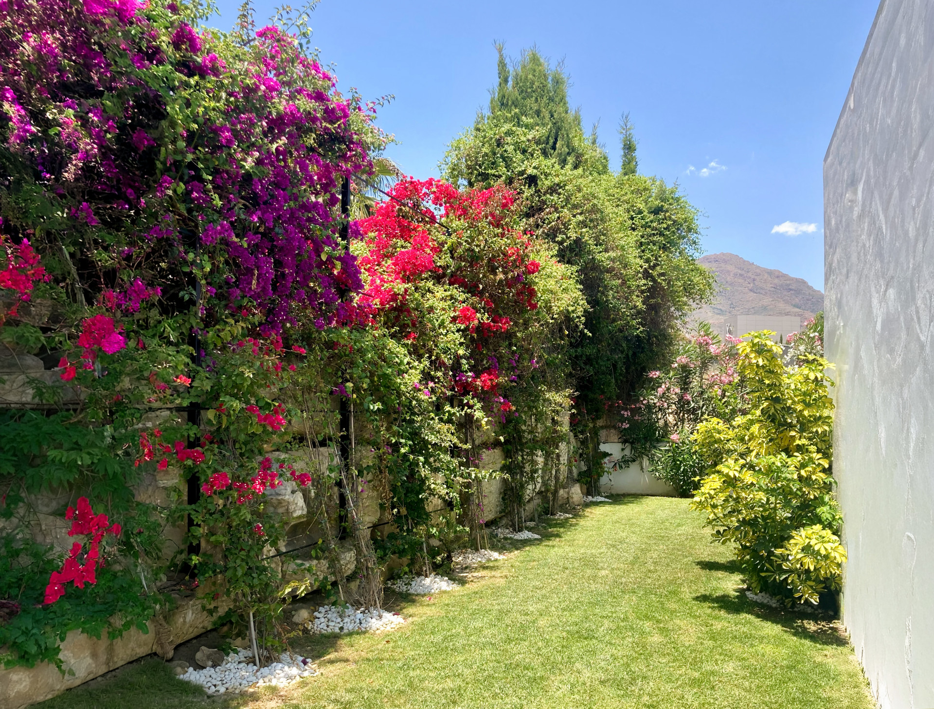 Contemporary 3-bedroom villa in Valle Romano