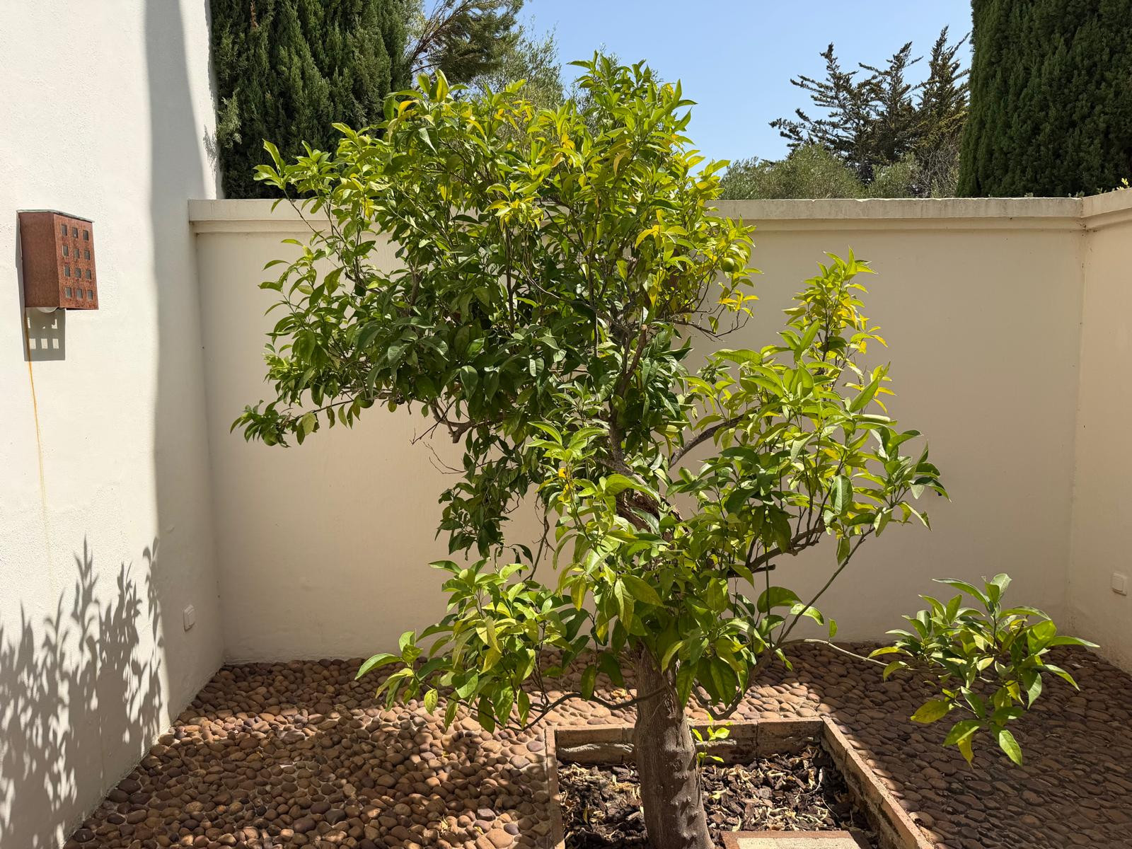 7-bedroom villa in Sotogrande Alto — frame 16