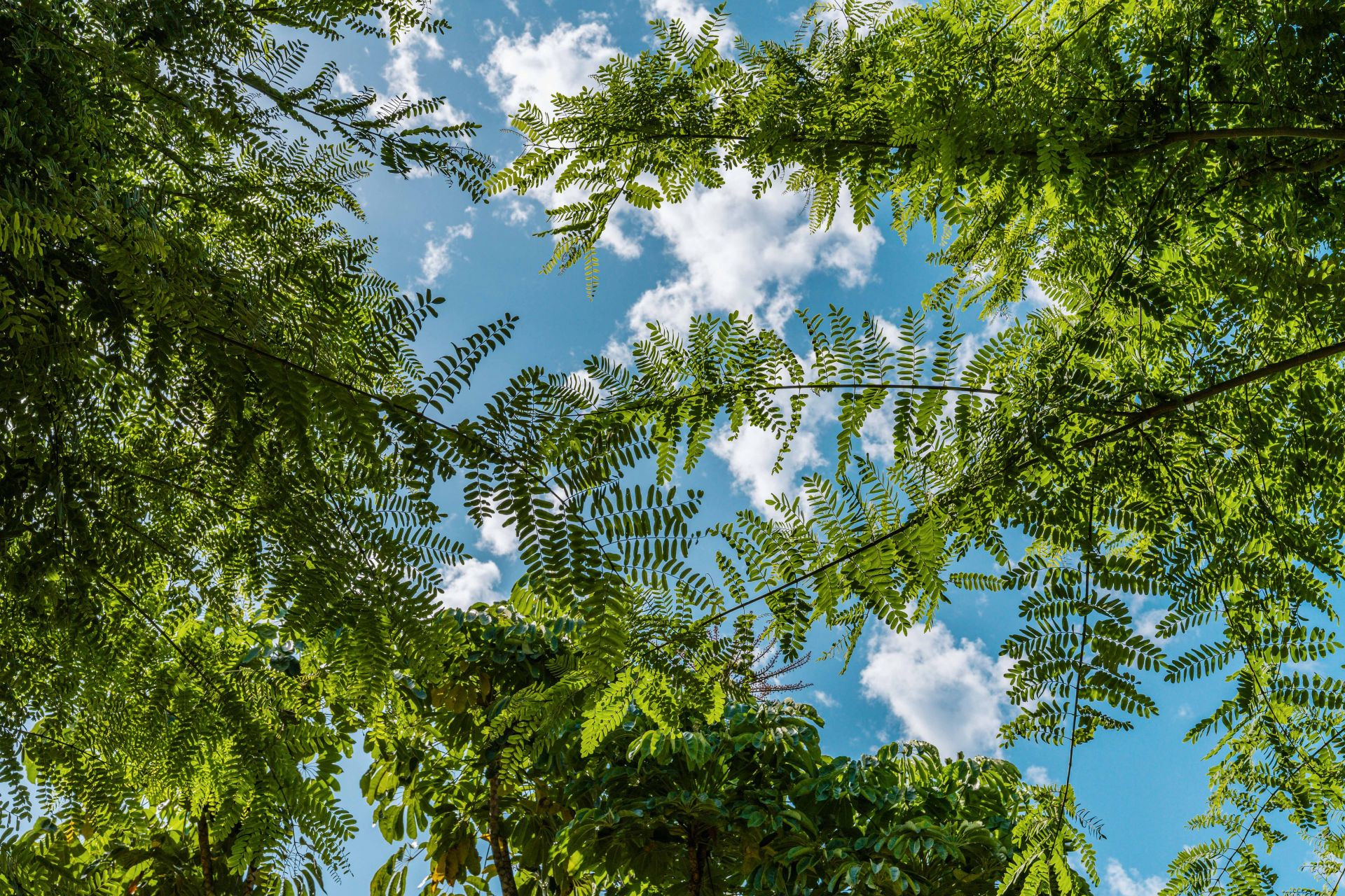 Penthouse 3 Bedrooms 3 Bathrooms in Marbella, Costa del Sol