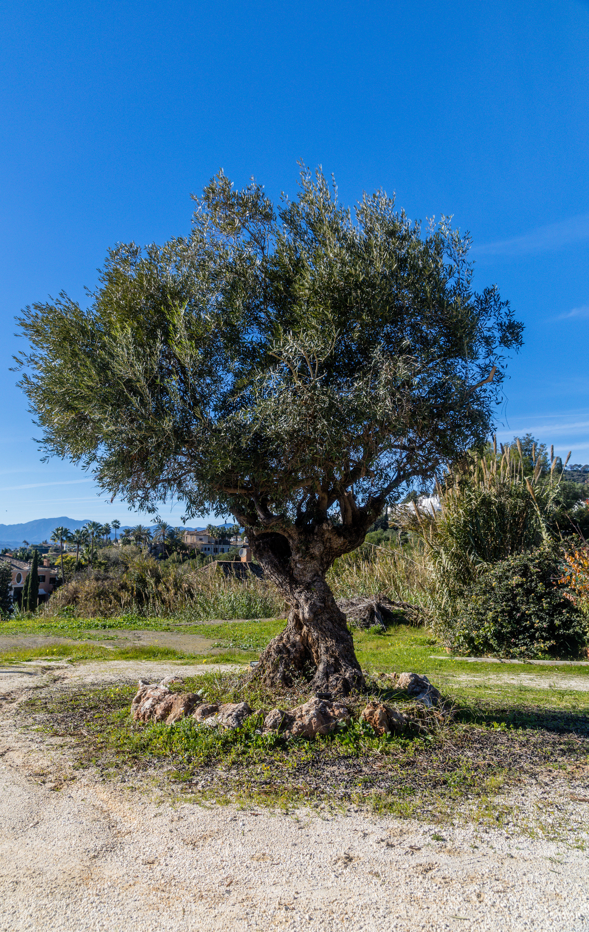 plot in Marbella Golden Mile — frame 9