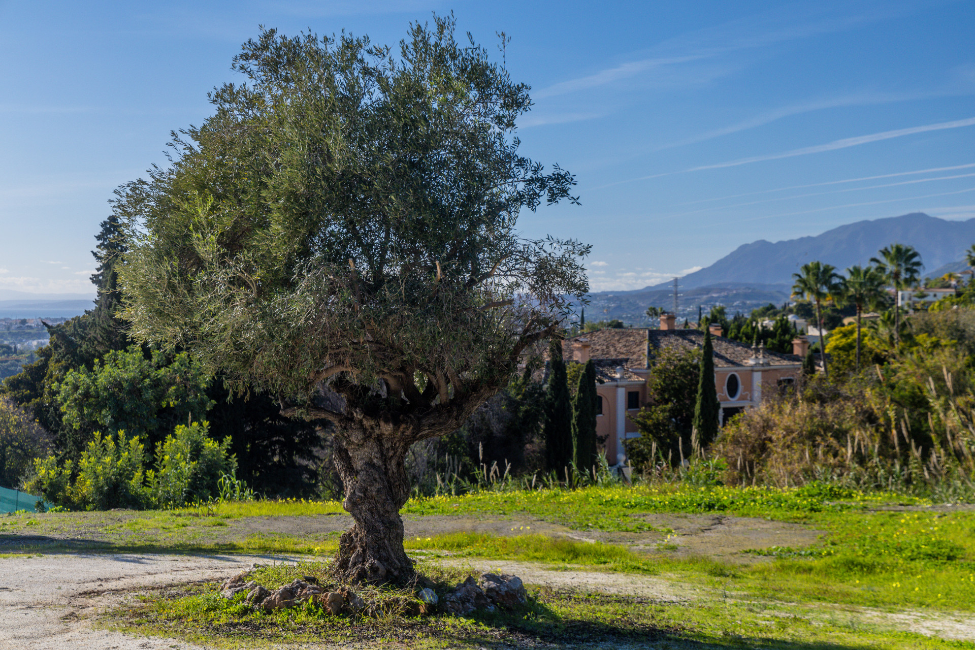 plot in Marbella Golden Mile — frame 4