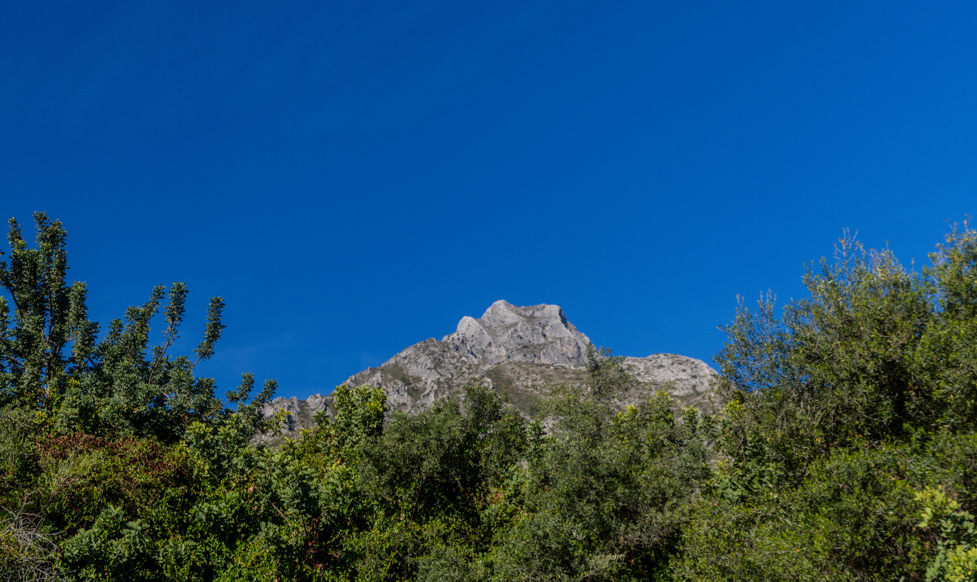 plot in Marbella Golden Mile — frame 5