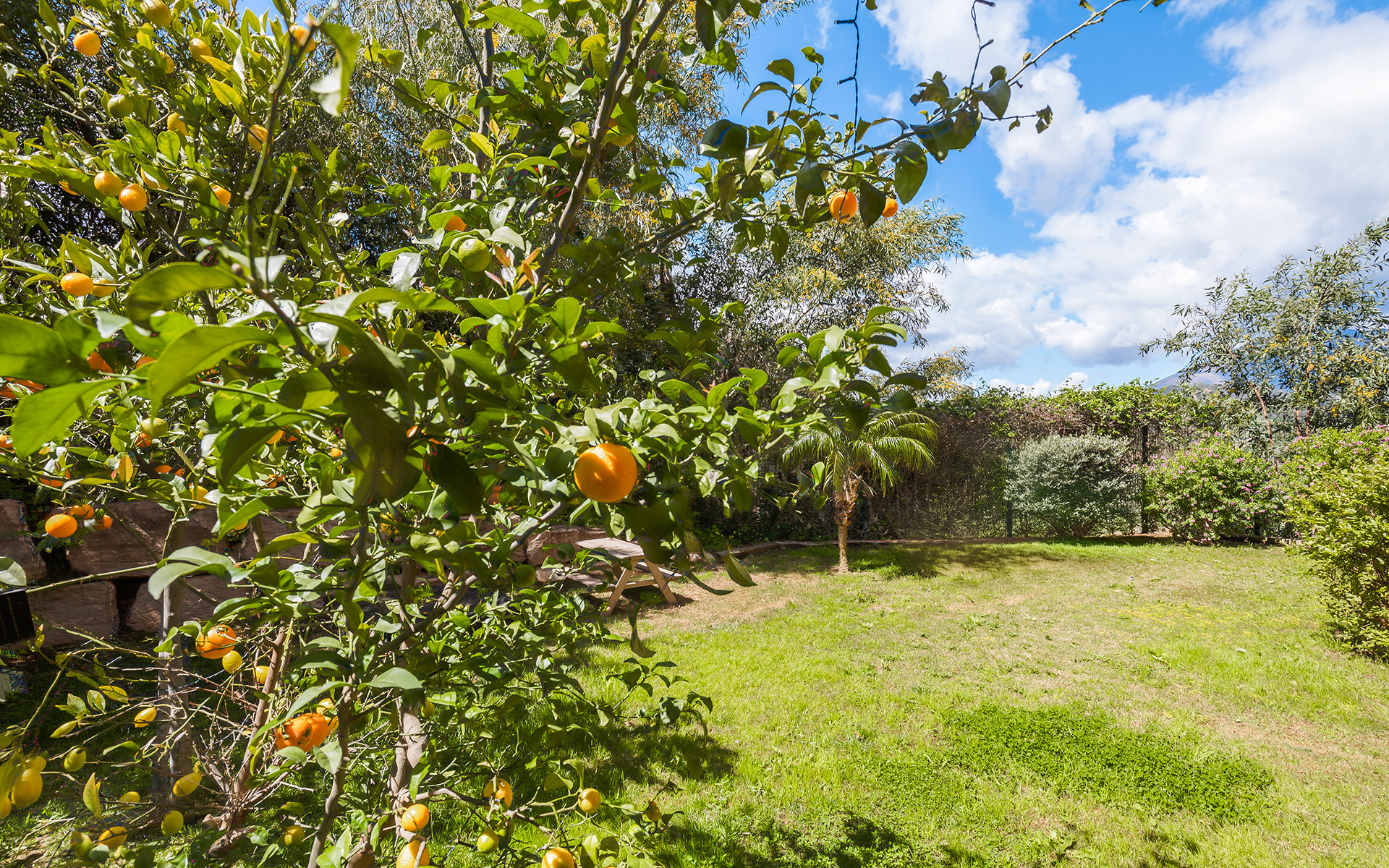  Image of Ground Floor Apartment - 3 Bedrooms - 2 Bathrooms for sale in Malaga-Benahavis-Spain, Image 32