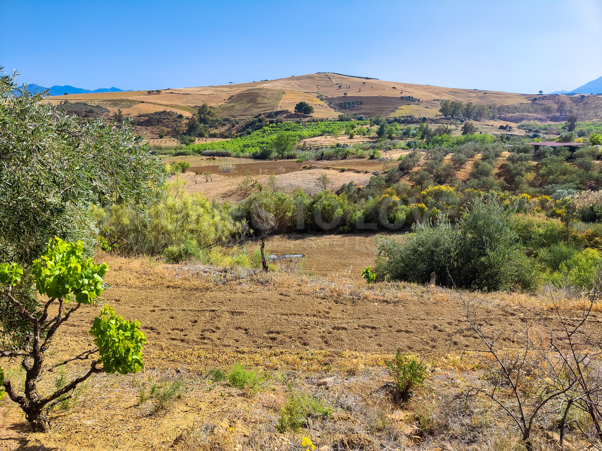 Terrain à vendre à Coin Centro