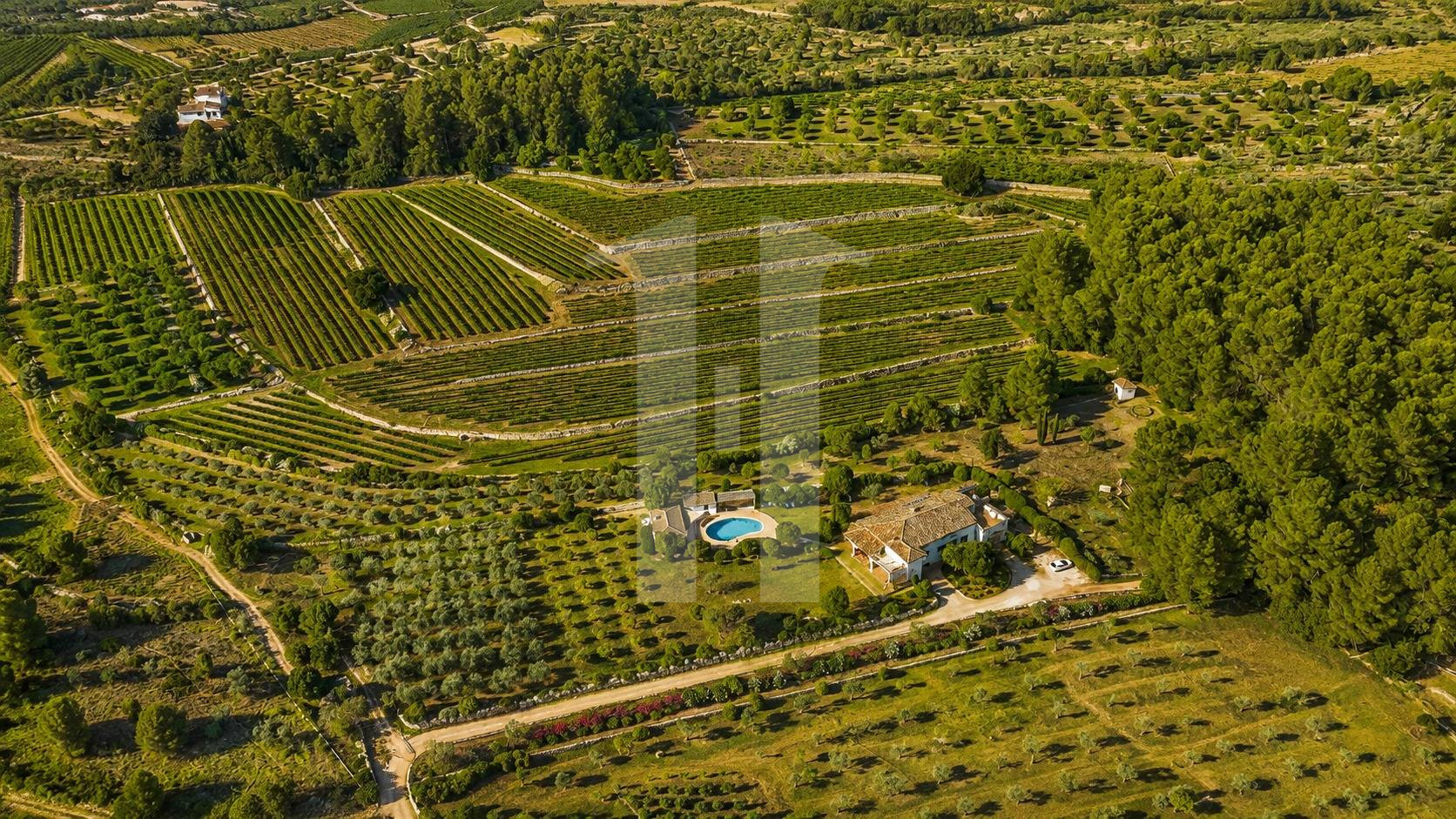 home in Jávea Finca Helena – A Mediterranean retreat surrounded by nature