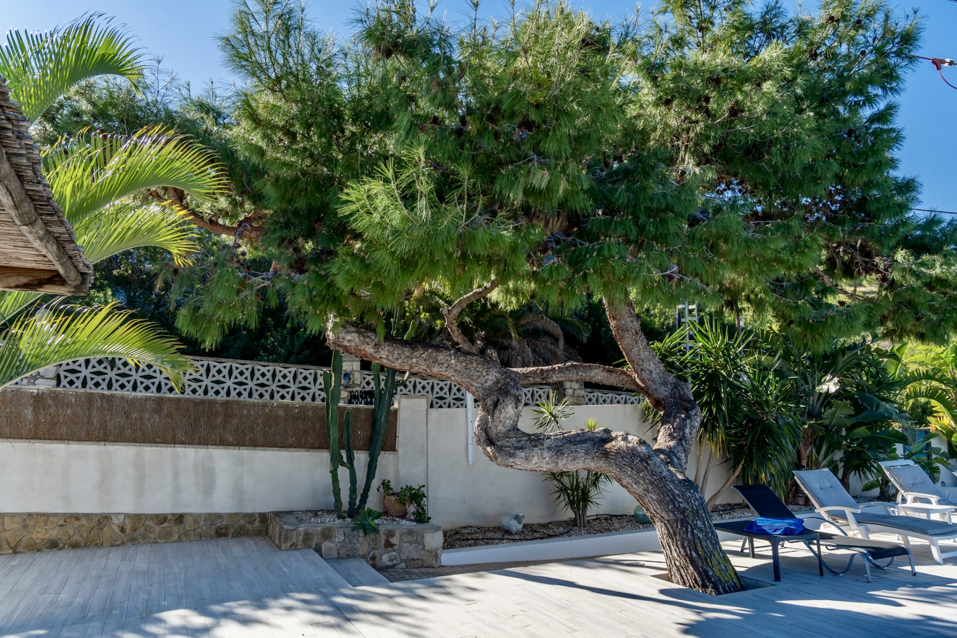 JV1063 - Villa zum verkauf in Denia