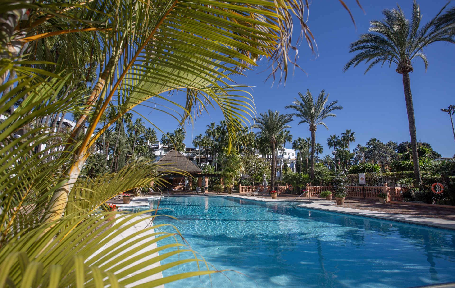Luxurious beachfront corner penthouse.
