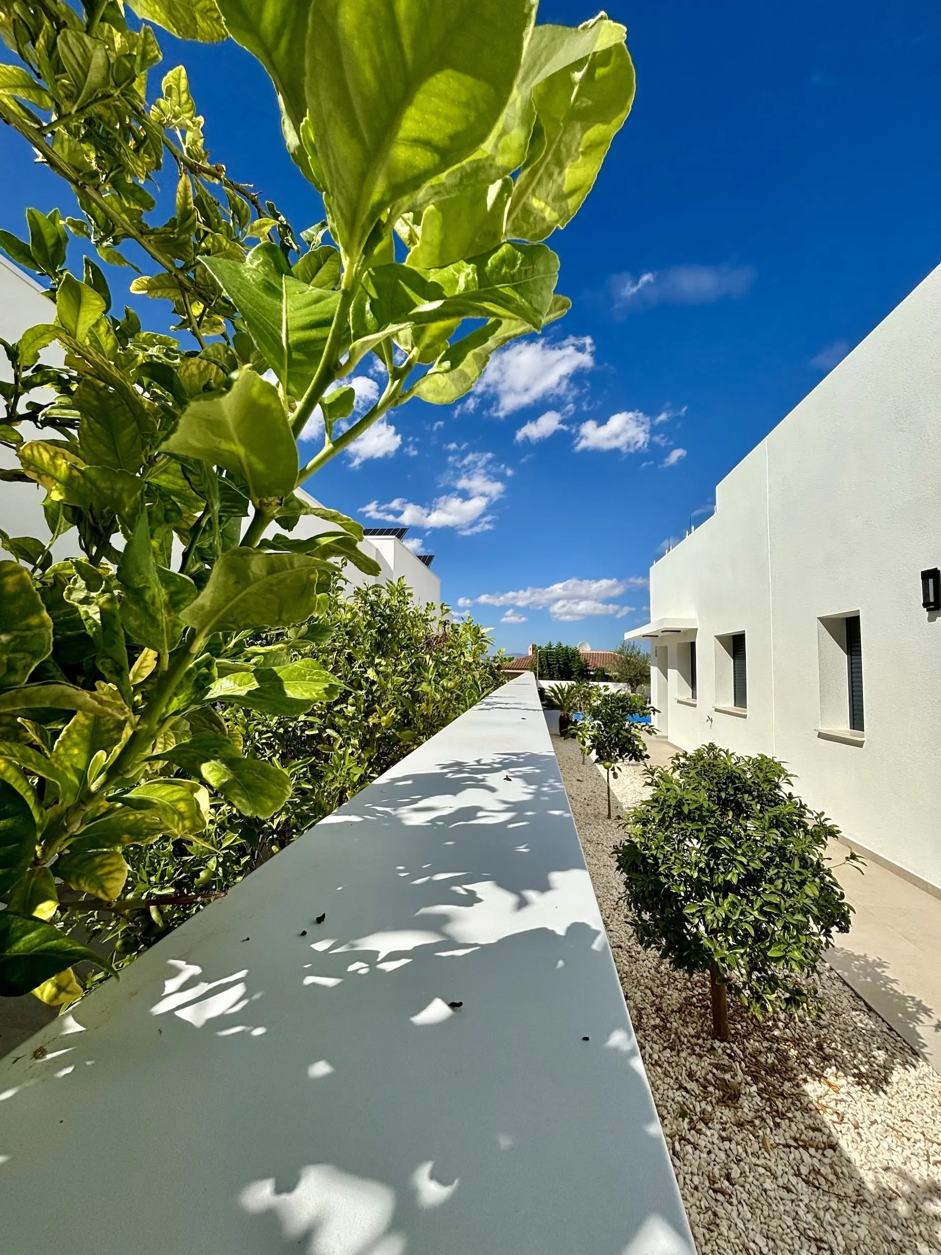 Villa mit privatem Pool in Benijofar zu verkaufen