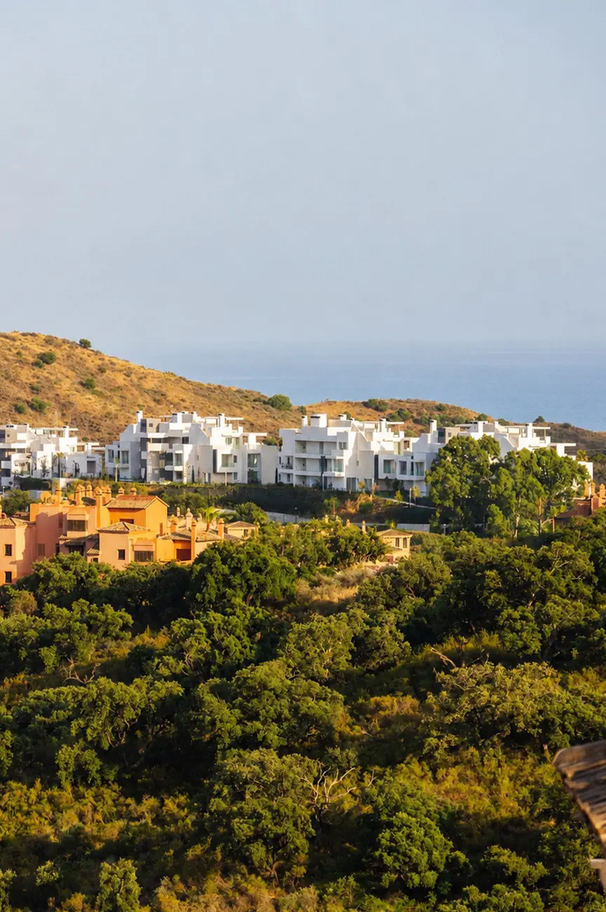 Development in Ojen