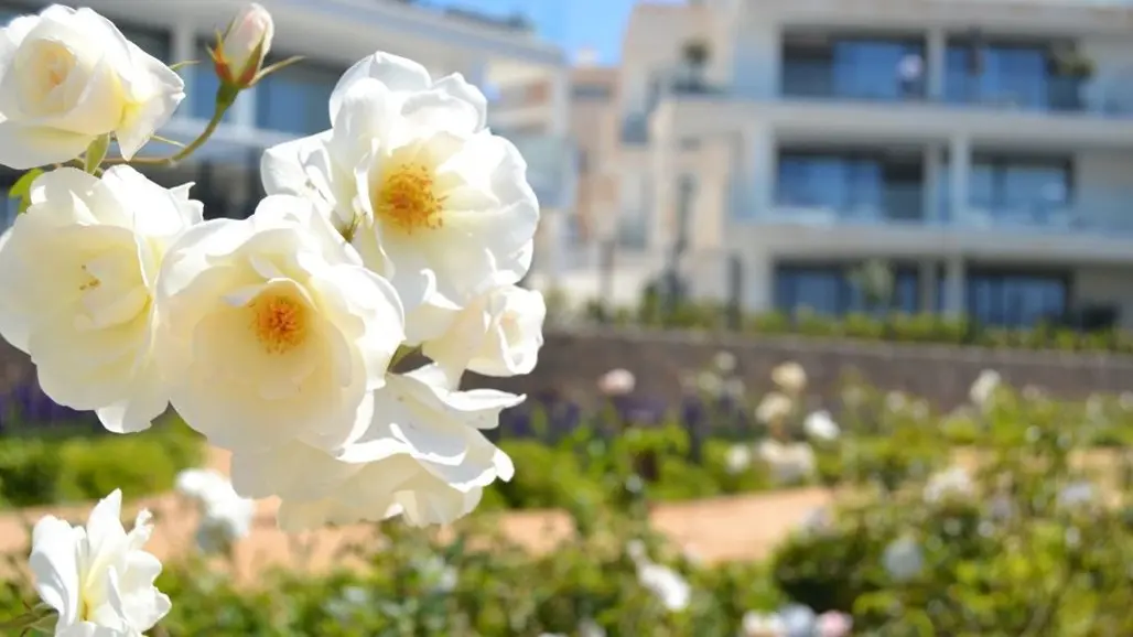 Deweloperska w Fuengirola