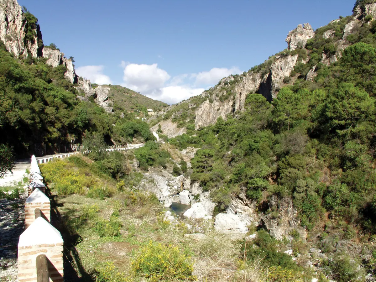 Development in Benahavis