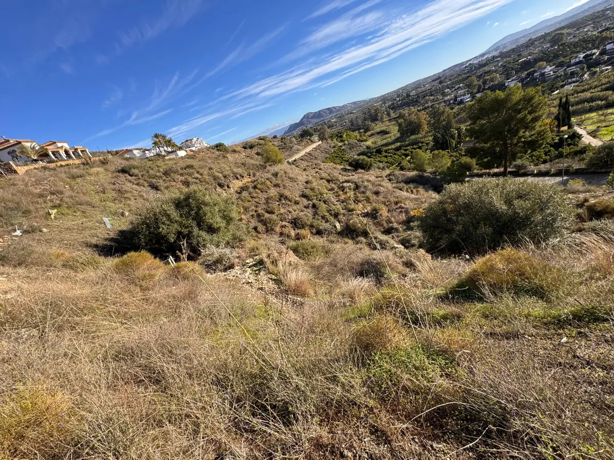 Development in Alhaurin el Grande
