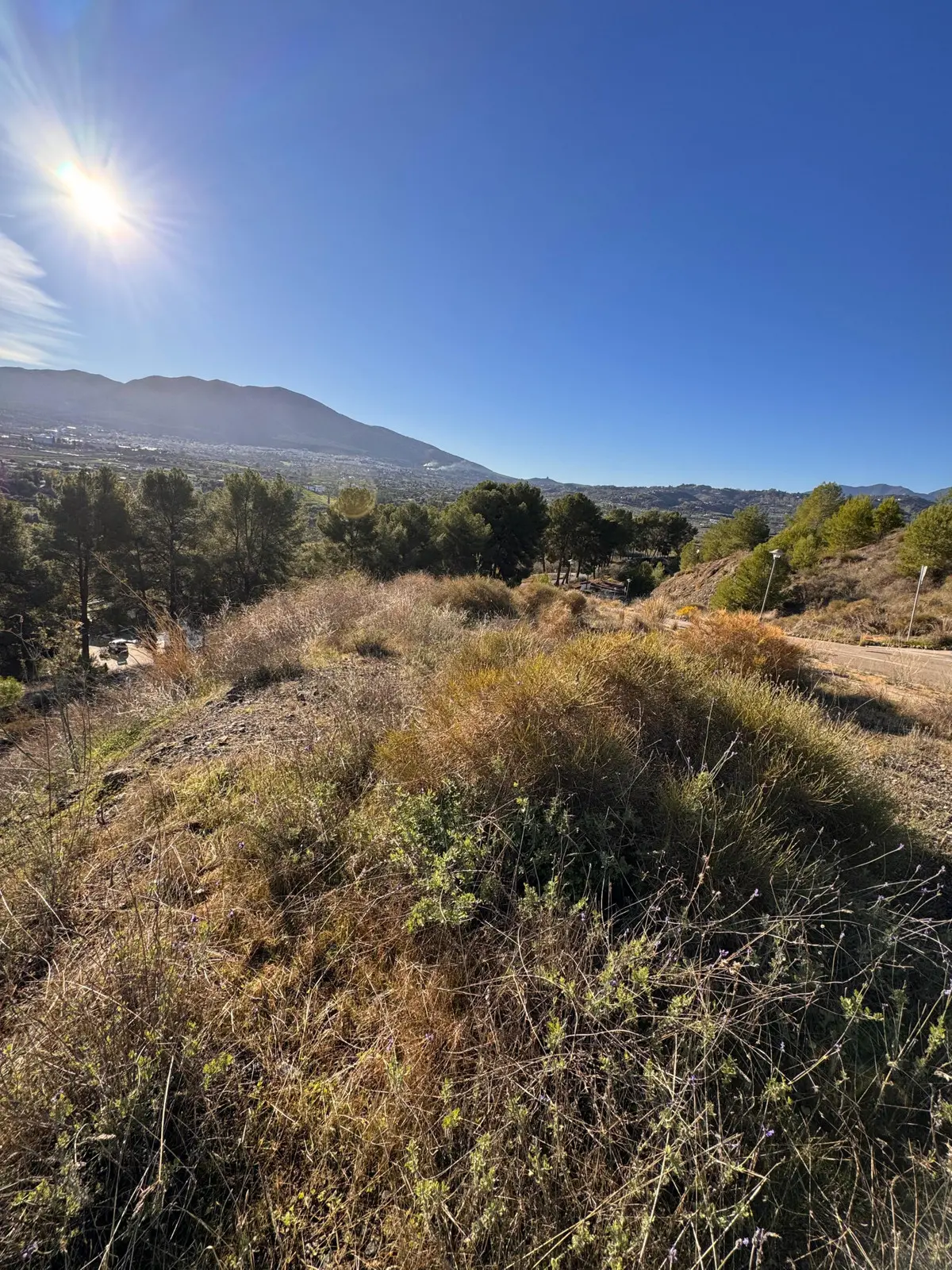 Development in Alhaurin el Grande