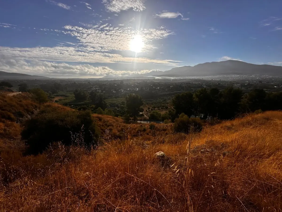 Development in Alhaurin el Grande