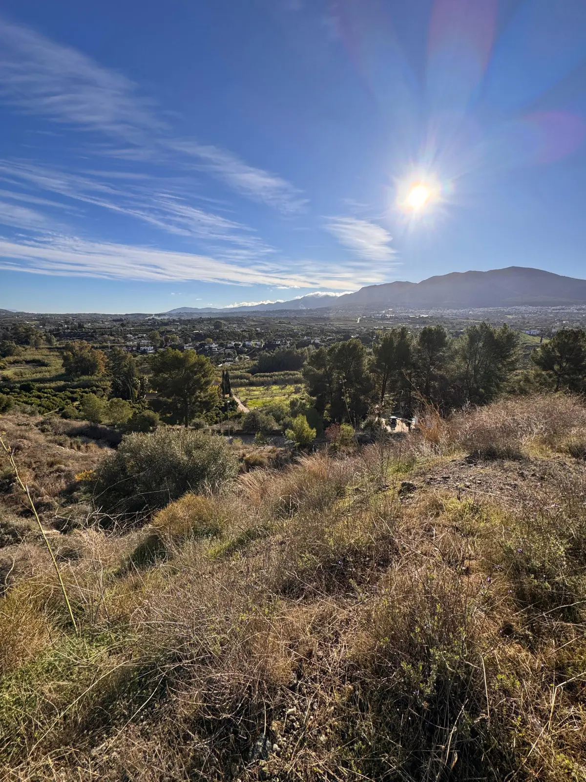 Development in Alhaurin el Grande
