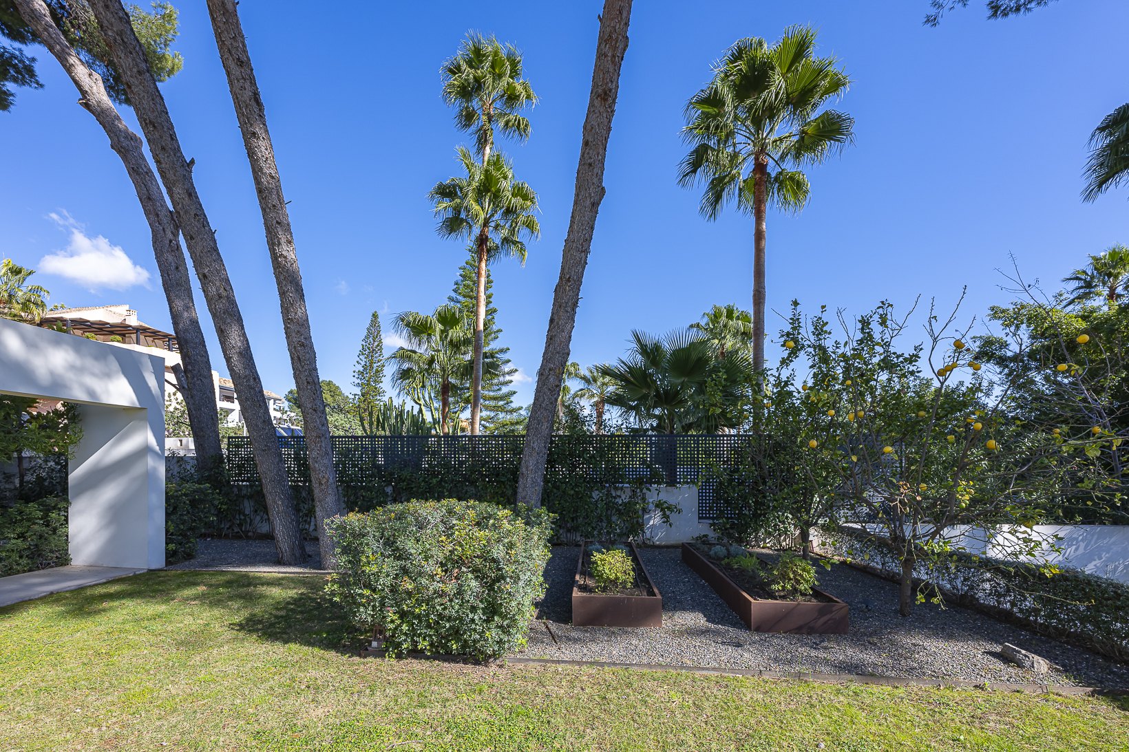 Rocio de Nagüeles, Marbella Golden Mile