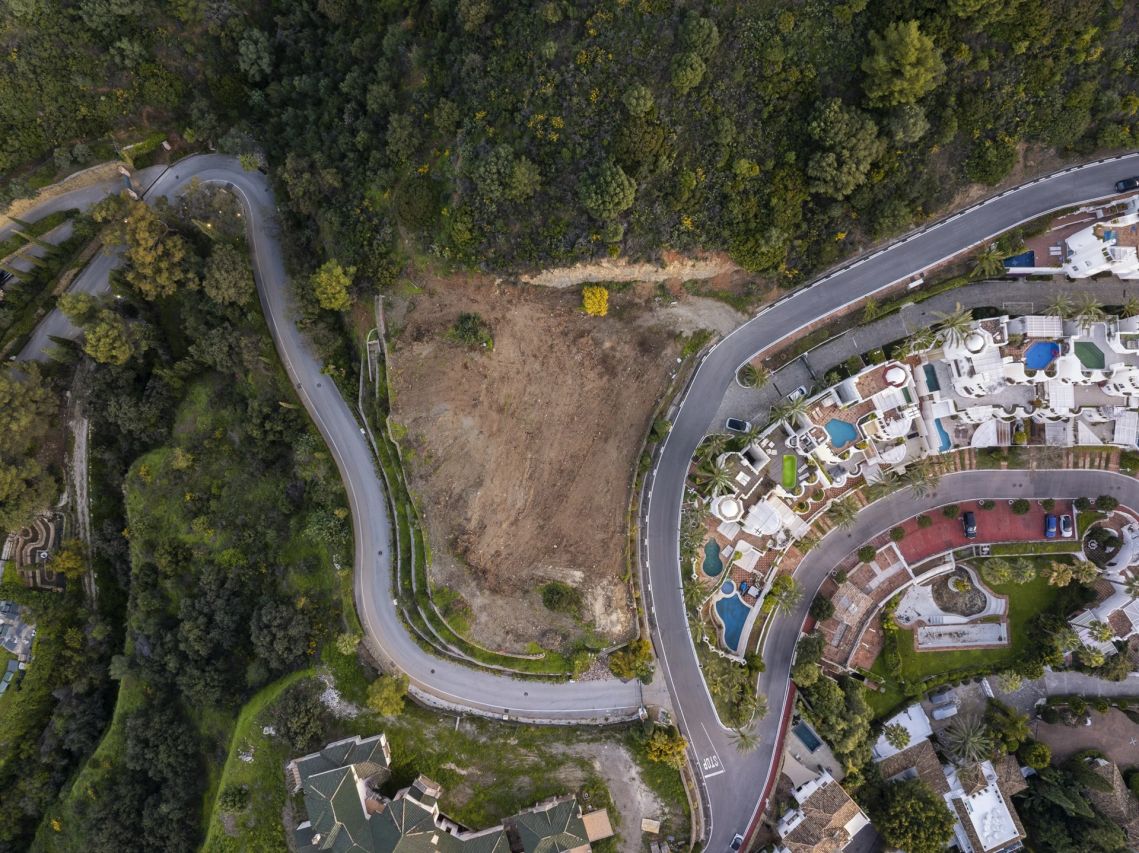 Overhead view of the plot and its boundaries