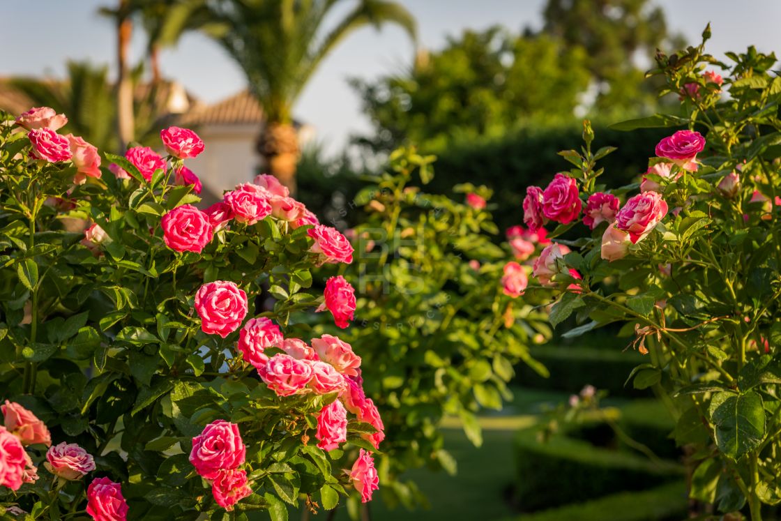 Palace-style villa with sea and mountain views in Hacienda Las Chapas, Marbella east