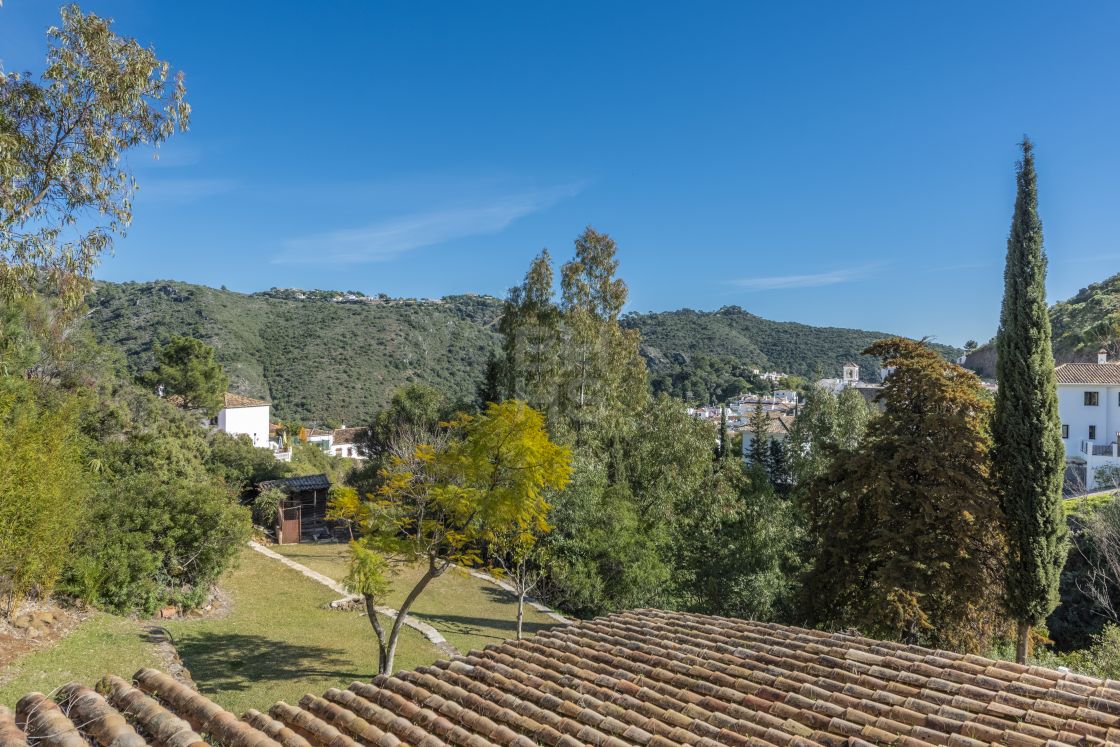 Extensa finca con mucho potencial para construir en Benahavís