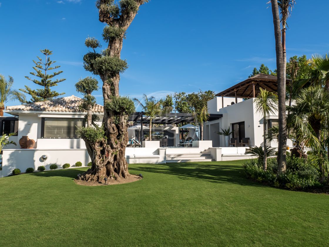 Villas for rent in Nueva Andalucia