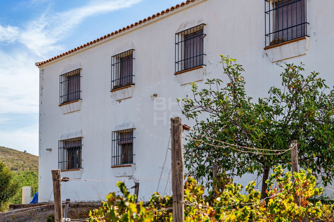 Excellent investment opportunity: well-established winery in Malaga