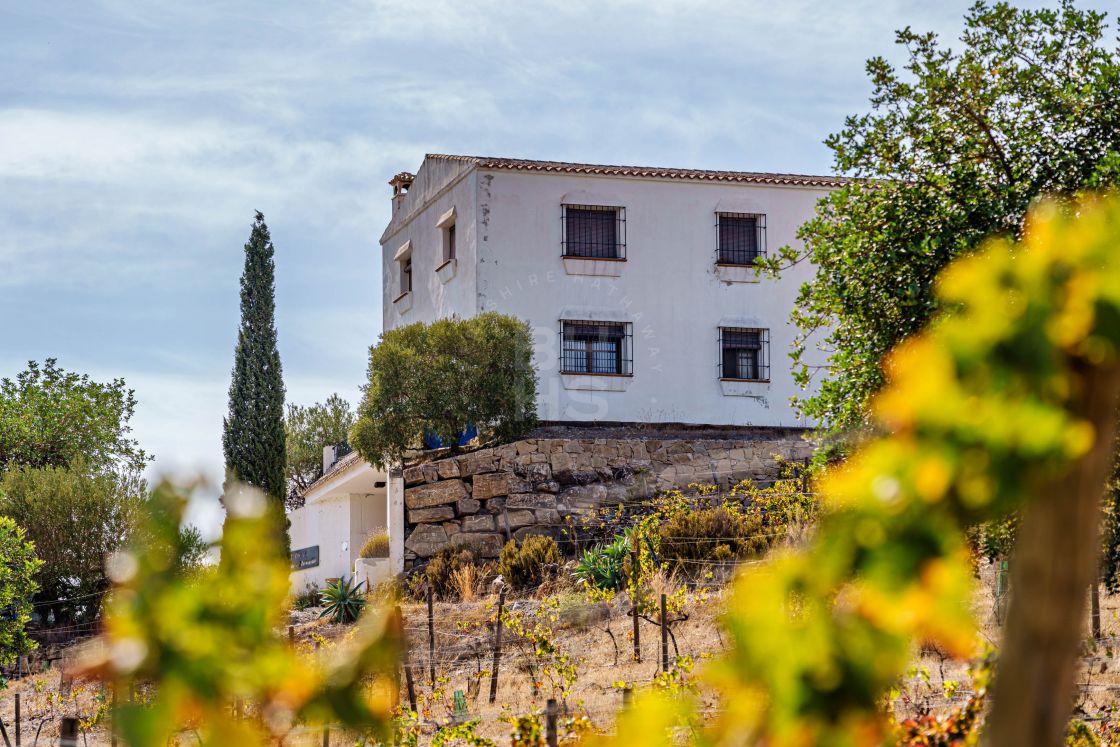 Excellent investment opportunity: well-established winery in Malaga