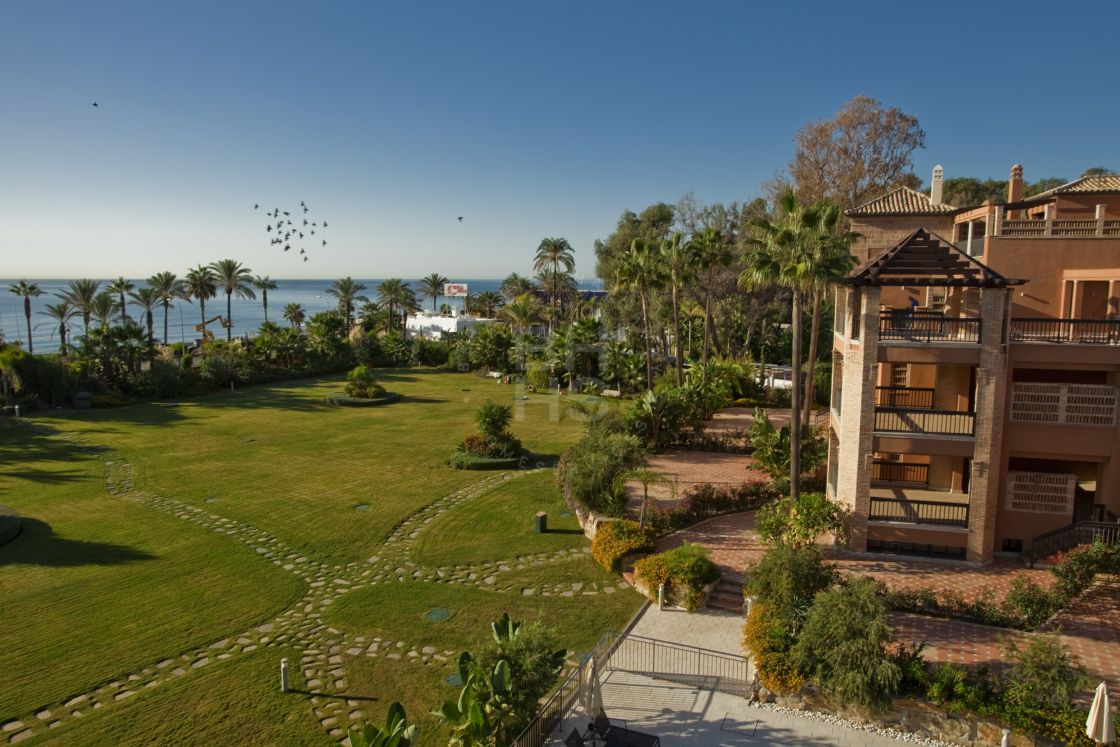 Unique beachfront triplex in Casablanca Beach, Nueva Alcántara, San Pedro