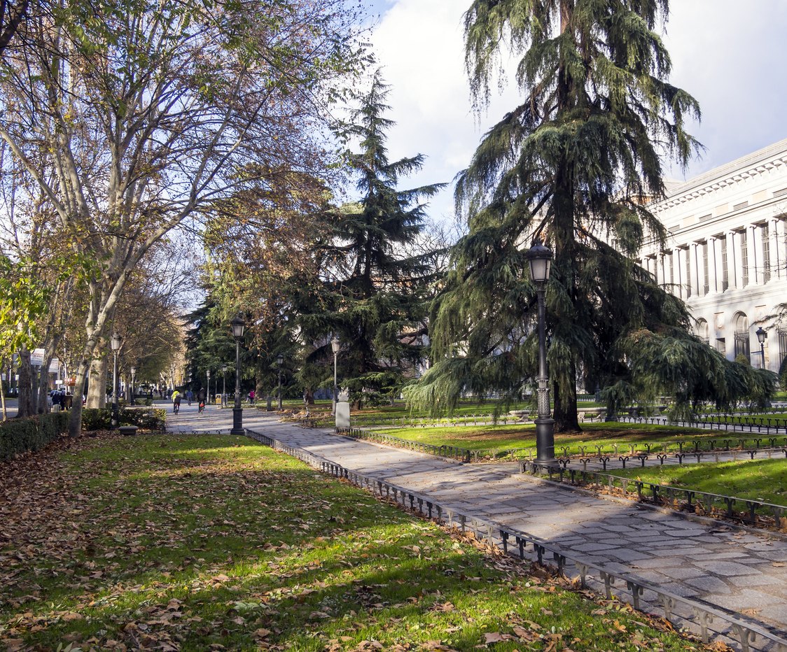 paseo del prado
