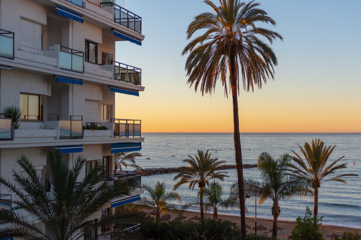 a palm tree next to a building