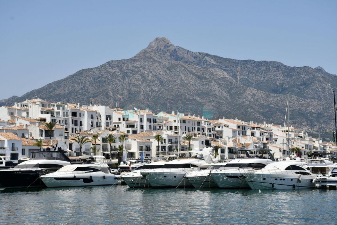 Restaurante en Marbella - Puerto Banus