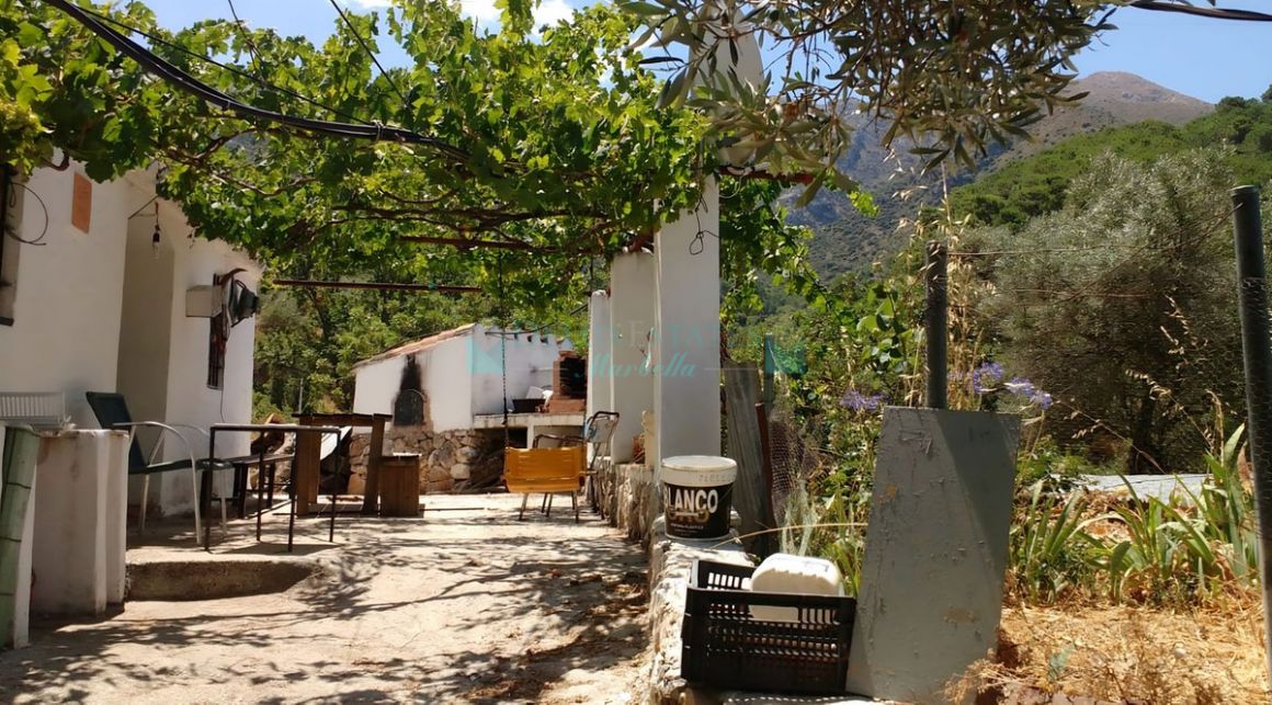 Finca for sale in Istan